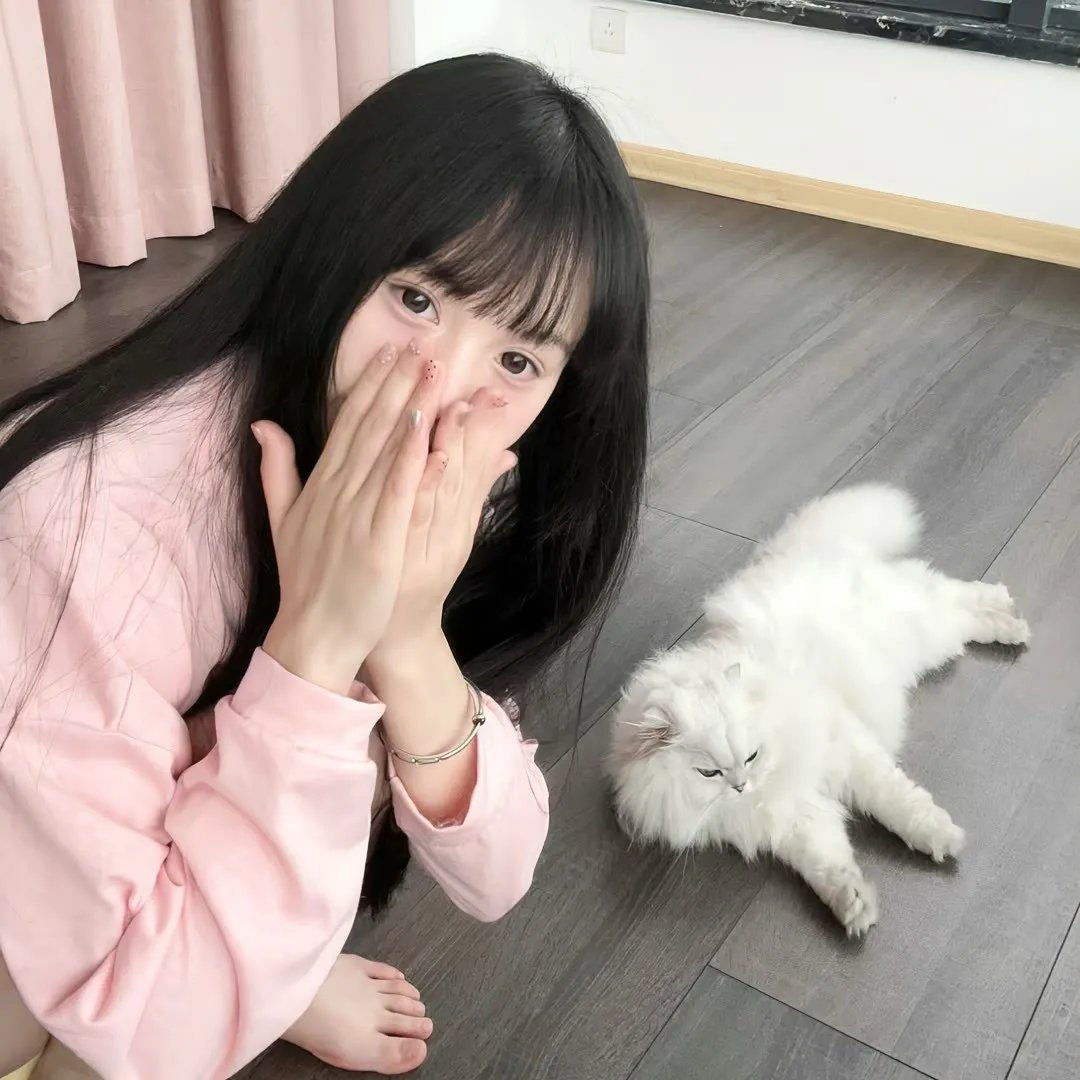 金鹰宝藏